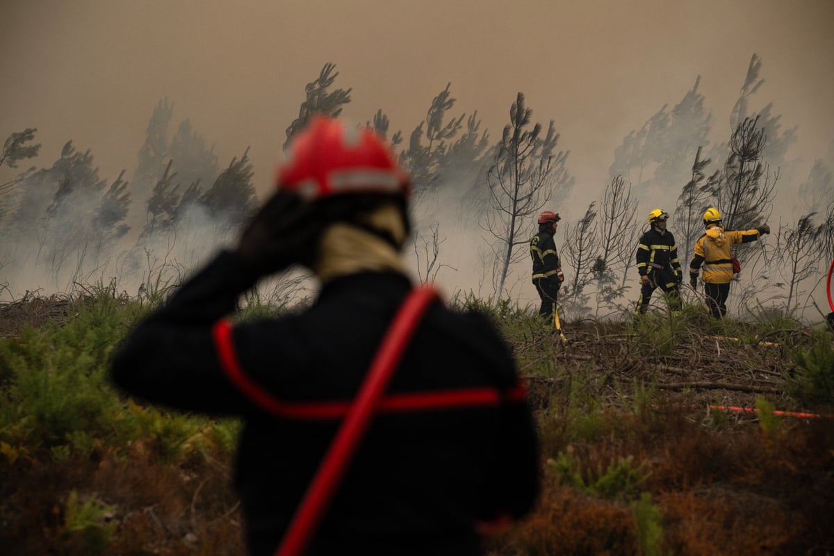Firefighters spray water along the edge of a forest during a wildfire