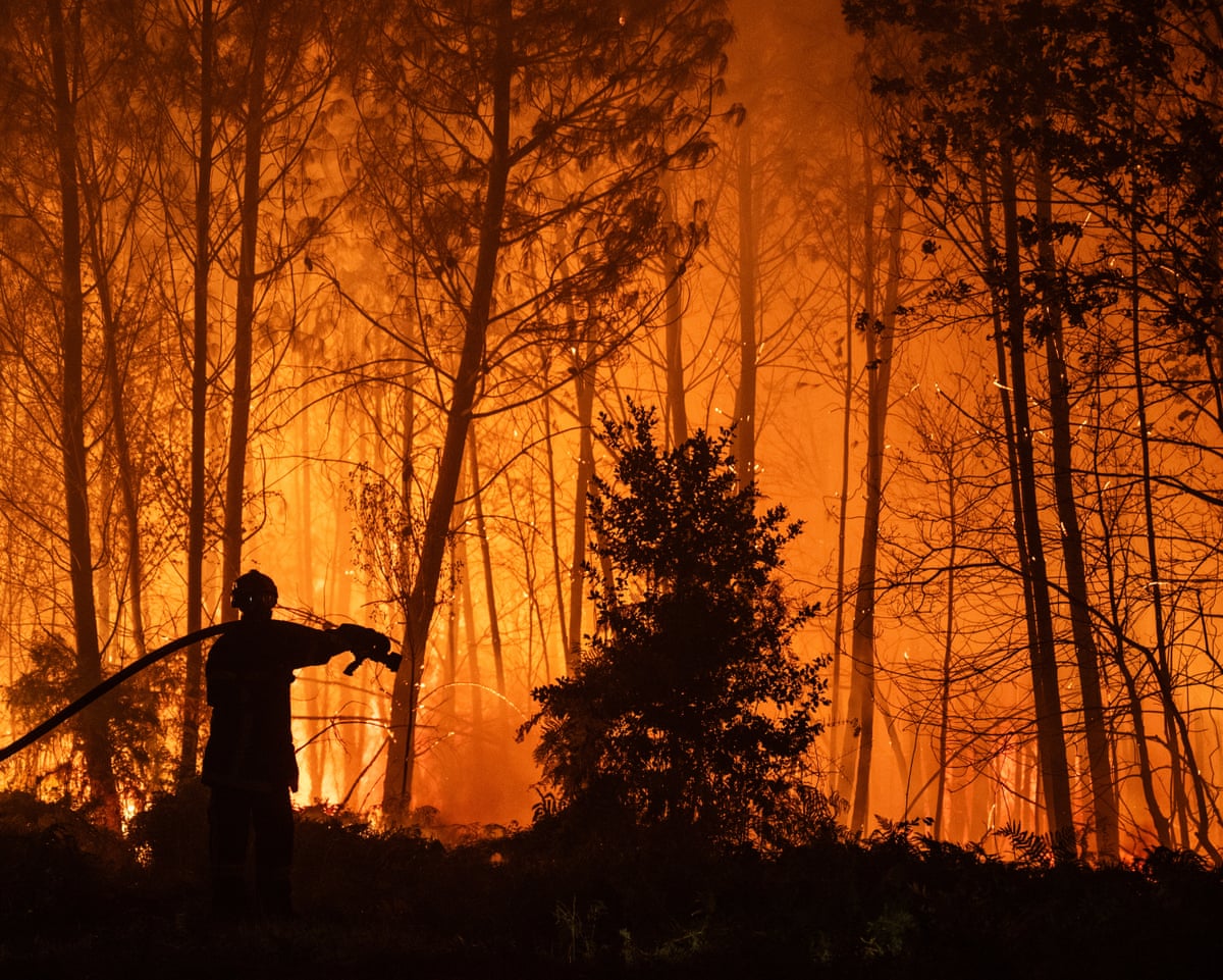 A firefighter in burning woodland silhouetted against an orange sky
