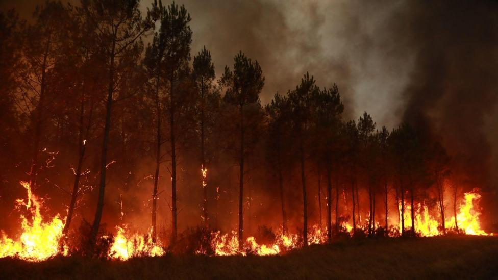 Wildfires burning on the ground and in the trees and smoke rises into the air