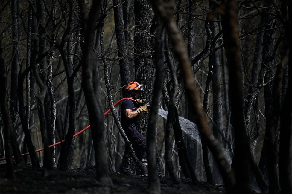 A firefighter sprays water on a scorched field, surrounded by burnt trees, following a wildfire in Cotignac south-eastern France on July 24, 2026
