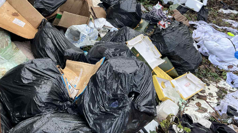 A close up image of severe fly-tipping. There are many black bags dumped, with some split open and the rubbish tipping out of them.