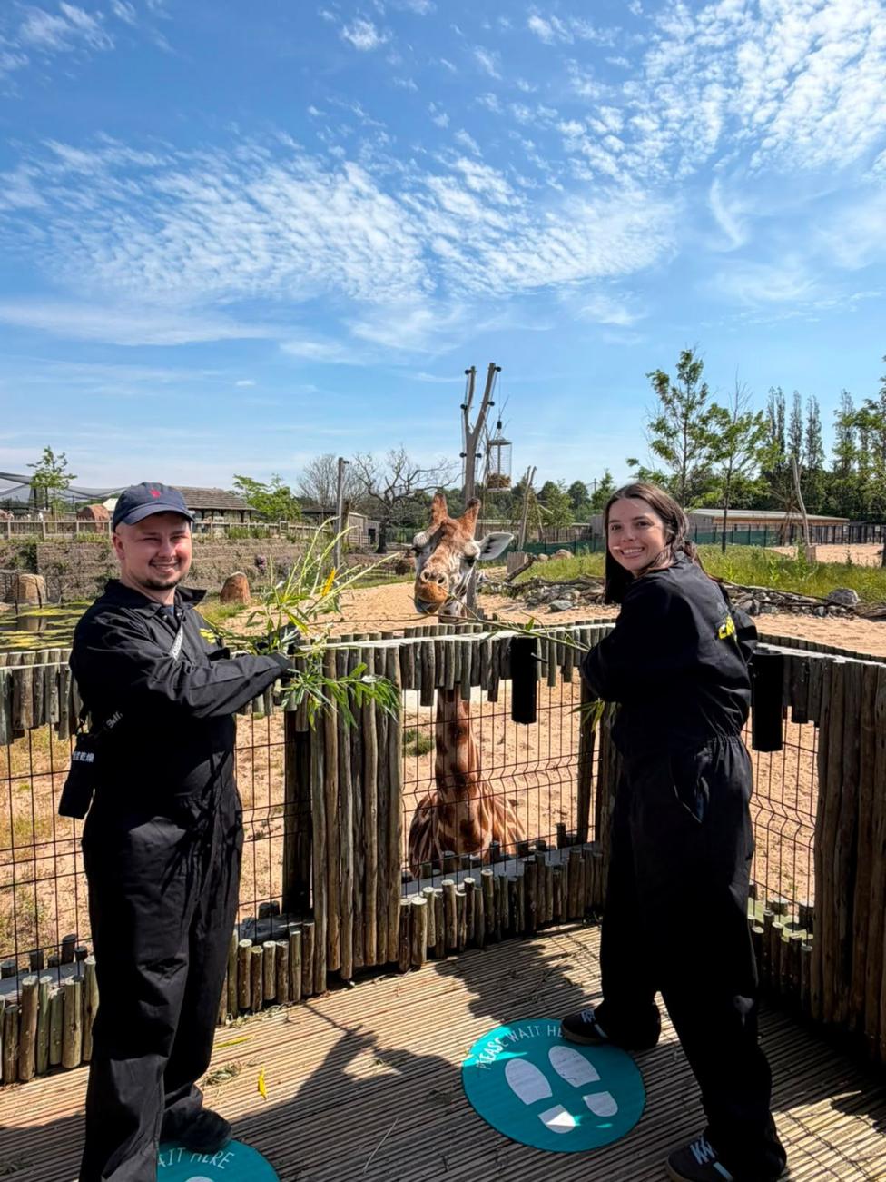 A man in a cap and a brunett woman, both wearing black all-in-one boiler suits. They are smiling and lookin at the camera while holding bundles of green leaves. Behind them is an outdoor enclosure, with a giraffe leabing over the fencing.