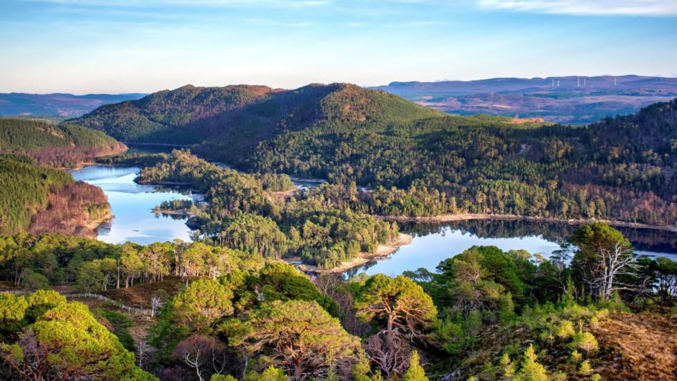 An aerial view of Glen Affric showing a landscape of lochs, hills and trees.