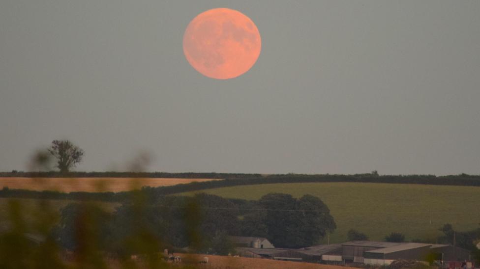 A large orange full moon hangs above rolling farmland and farm buildings in Devon at twilight, viewed across fields and hedgerows.