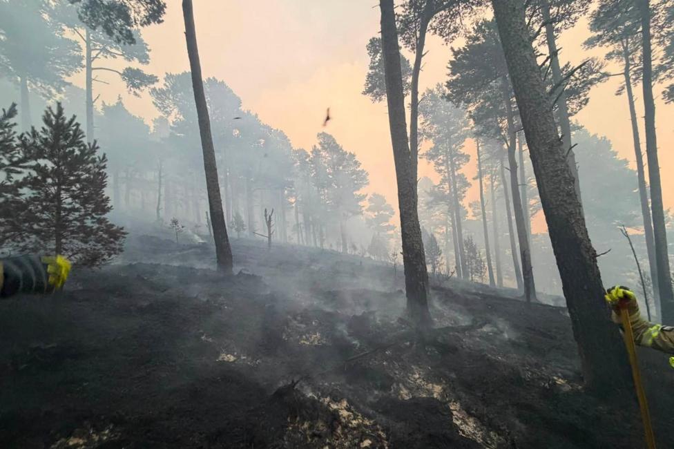 Smoke rises from fire-damaged ground and trees in the Cairngorms.