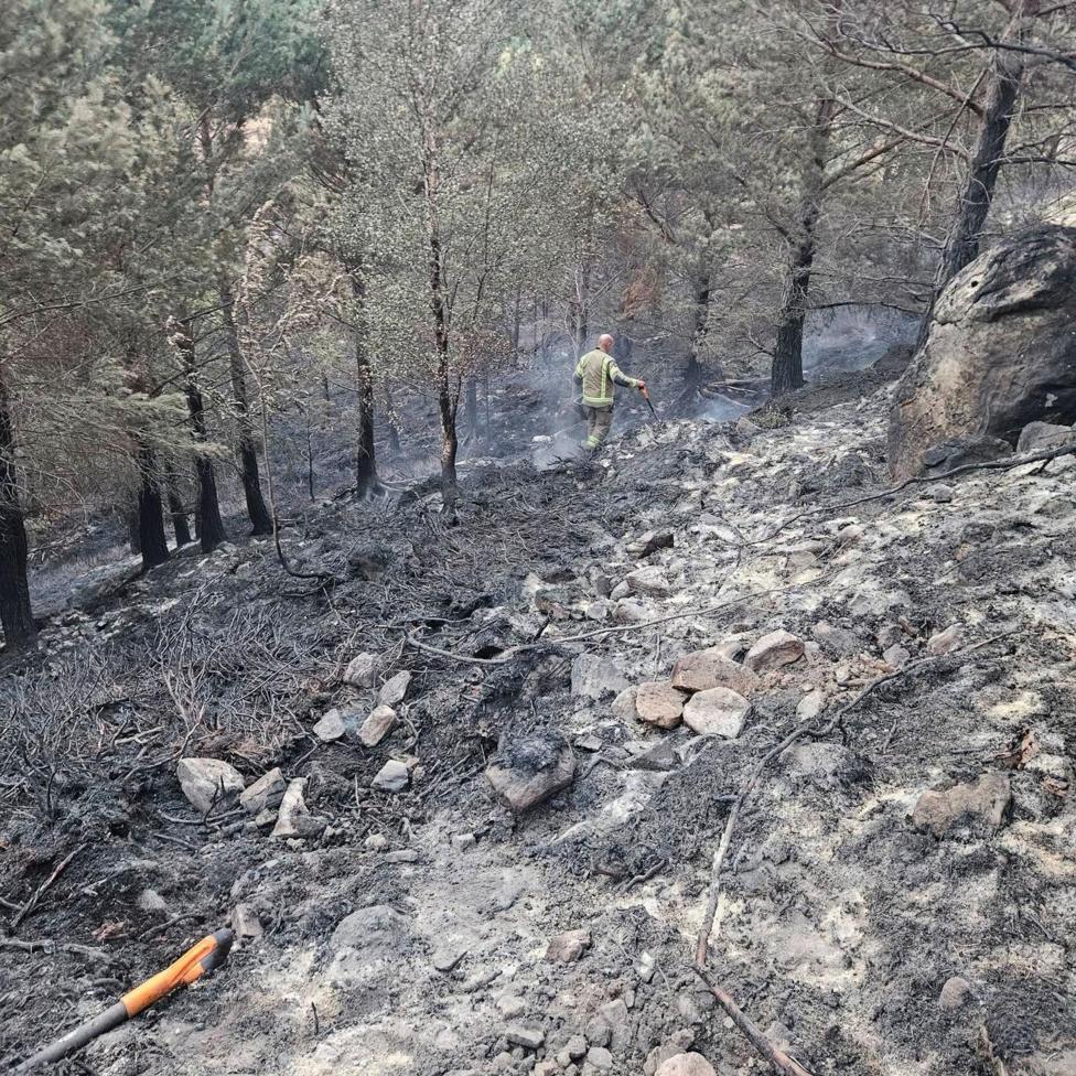 A firefighter searches for hotspots in an area of fire damaged woodland in the Cairngorms. Grey ash covers the ground.