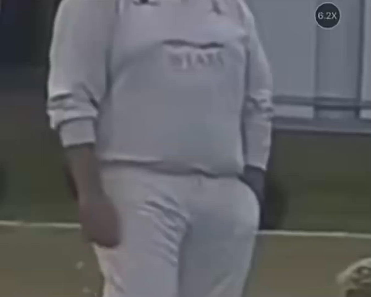 Cricket player seems to show fielder tricking umpire by clicking to imitate edges