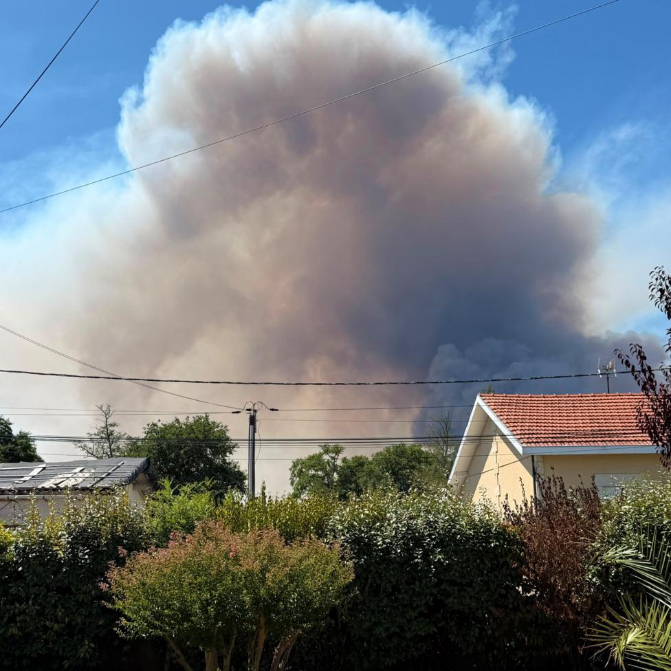 A huge cloud of smoke can be seen in the bright blue skies about a skyline of small houses, with a number of green bushes visible in the foreground