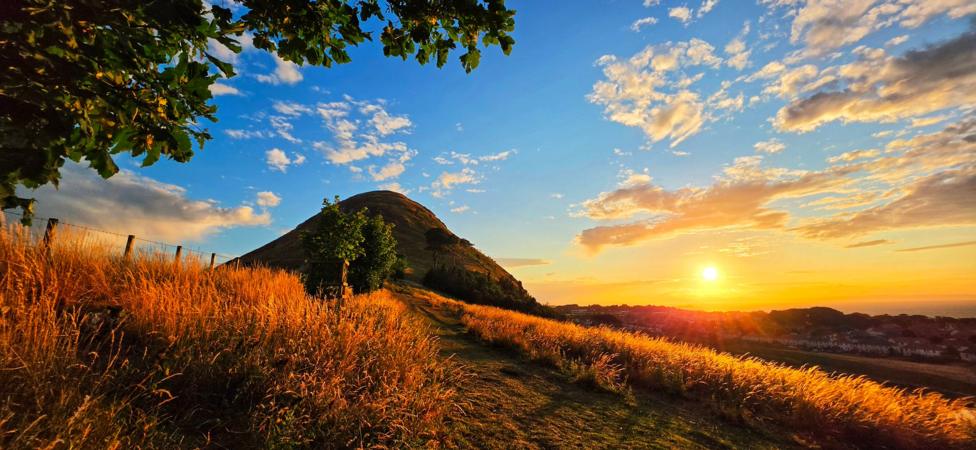 A narrow path winds through tall golden grass towards a rounded hill at sunset. Warm sunlight illuminates the landscape, while scattered clouds glow against a bright blue and orange evening sky.
