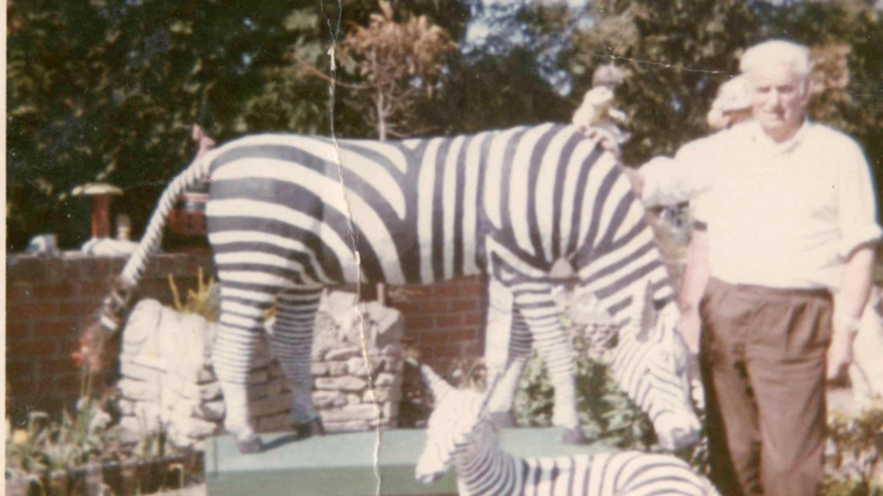 An old picture with a man in brown trousers and a white shirt with grey hair next to two statues of zebras
