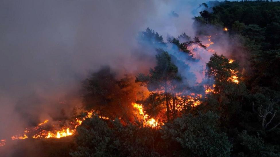 An aerial shot from a drone showing flames amongst woodland. Smoke is billowing into the sky, away from the blaze.