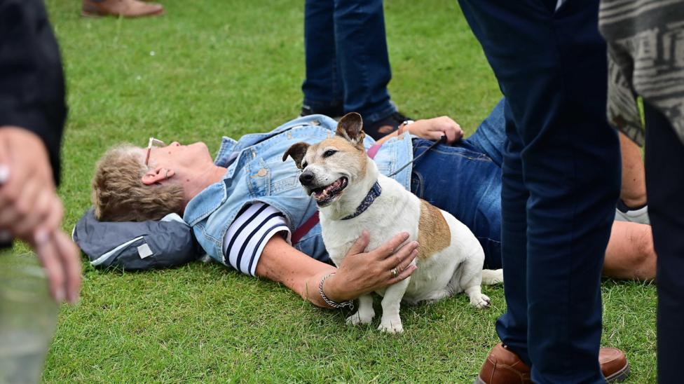 A dog is sitting next to a woman who is lying on grass. She has her hand on the dog. People are standing around them.