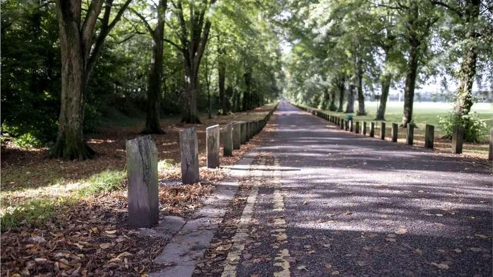 A cycle and pedestrian path with double yellow lines on the left hand side. It's around autumn with brown leaves covering the grass area and a bit of the path. 