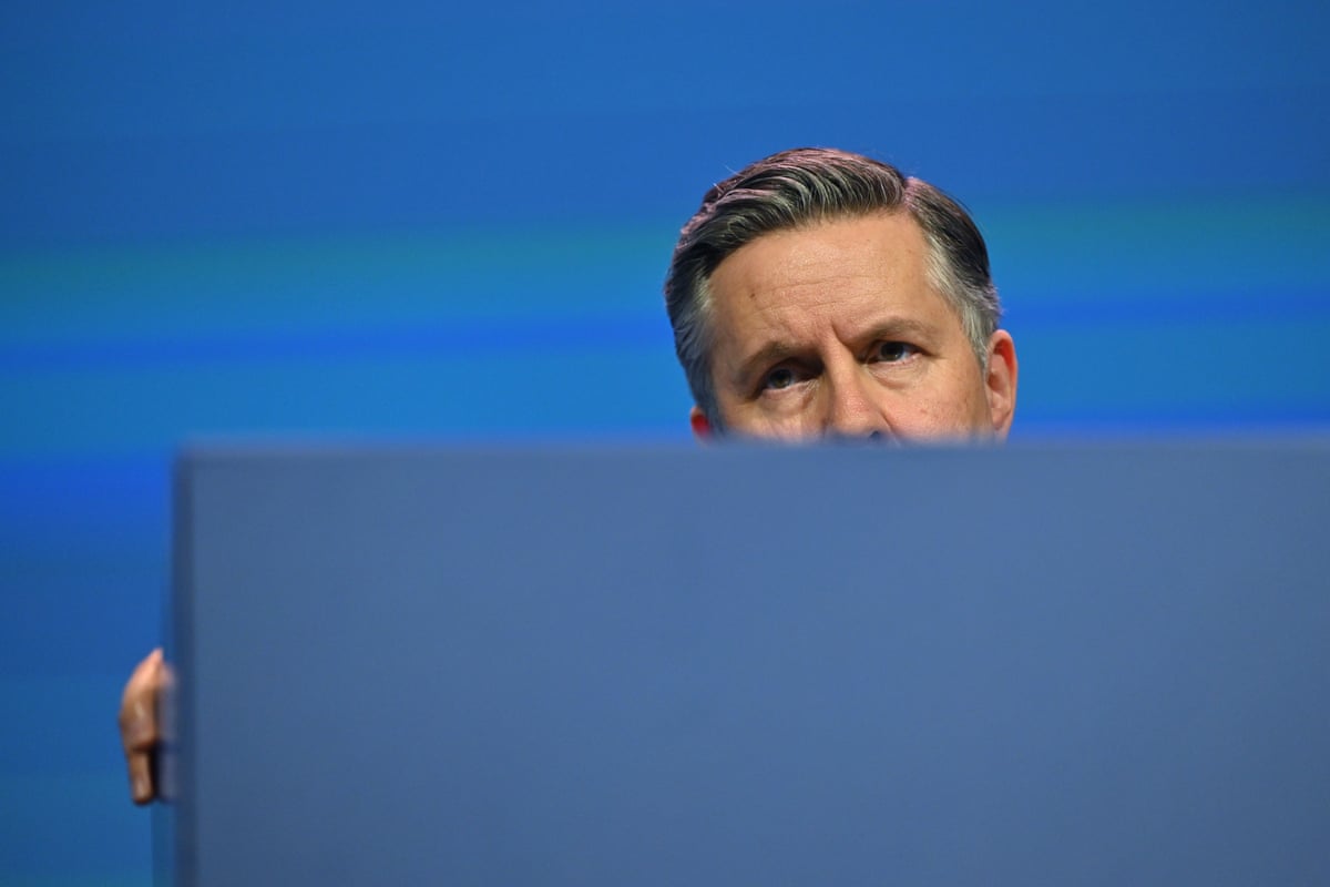 Minister for health, Mark Butler.