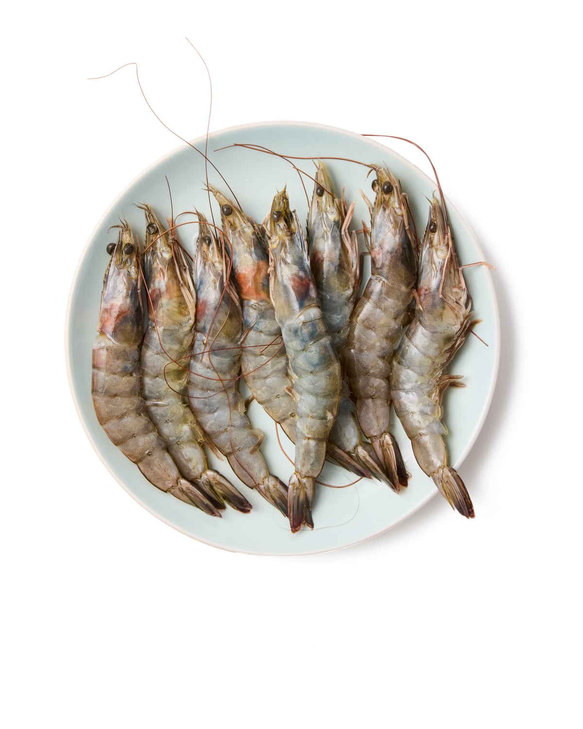 A plate of raw, shell-on prawns