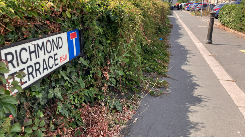 A road sign which says 'Richmond Terrace' in a bush