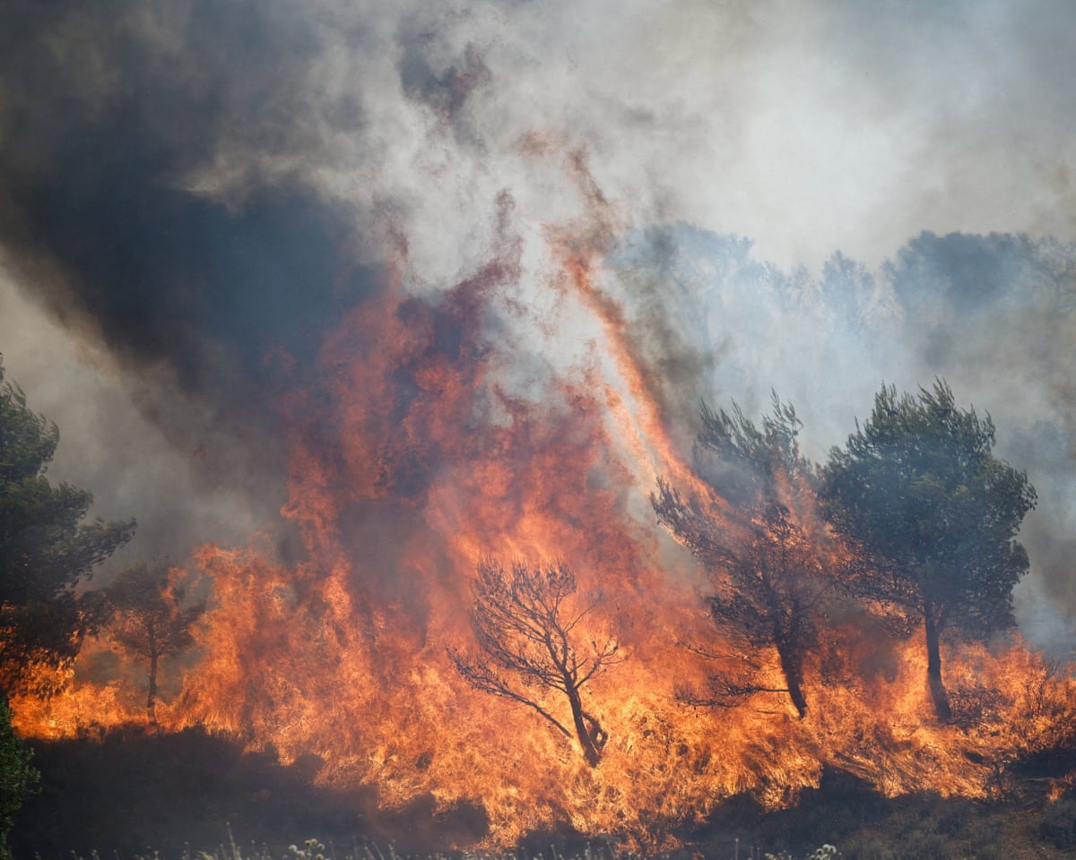A wildfire burns in Vlychada, west of Athens, Greece.