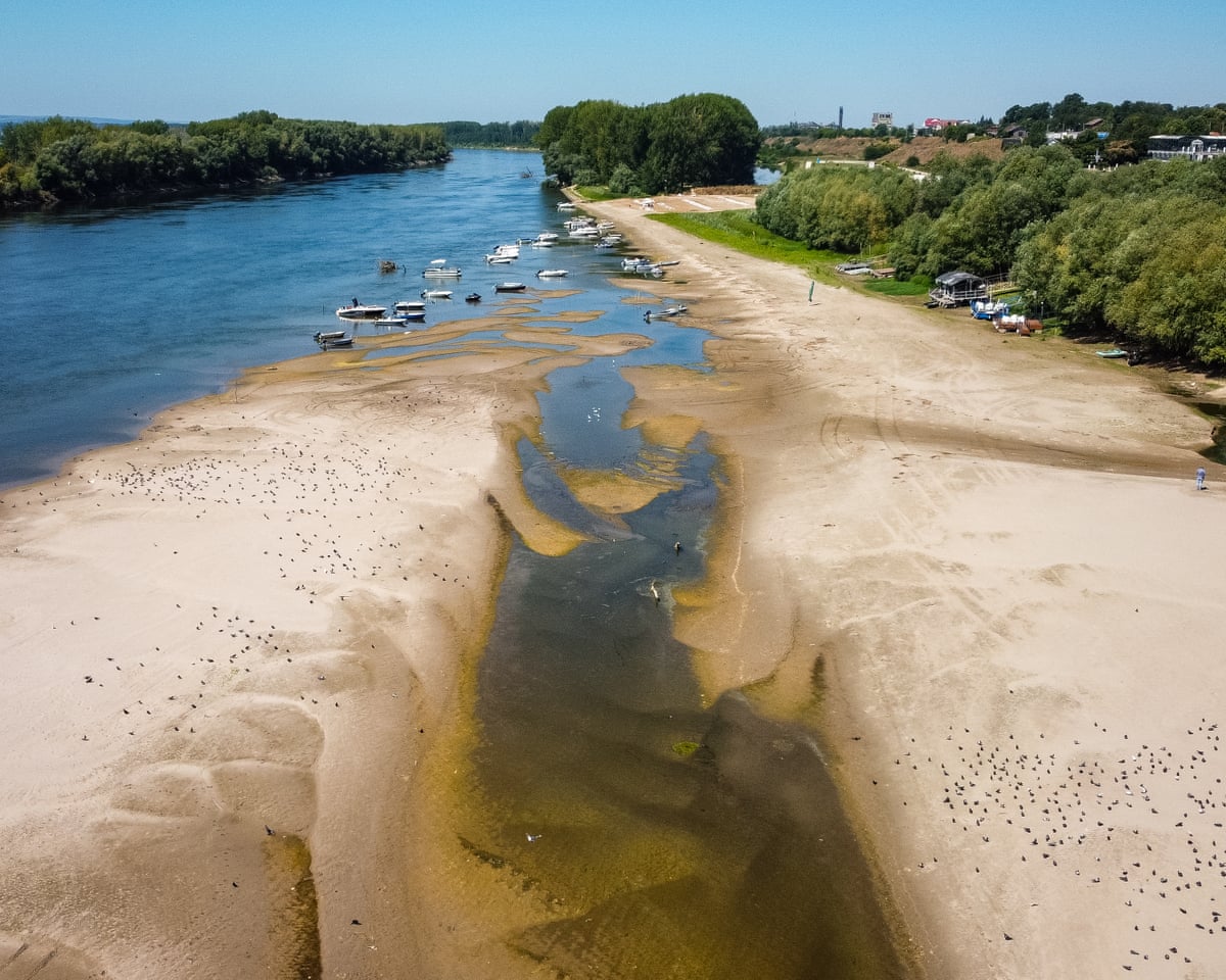 A usually submerged patch of land rises from the surface of the Danube River due to extreme low levels of the water following an extended period of drought in Corabia, Romania.