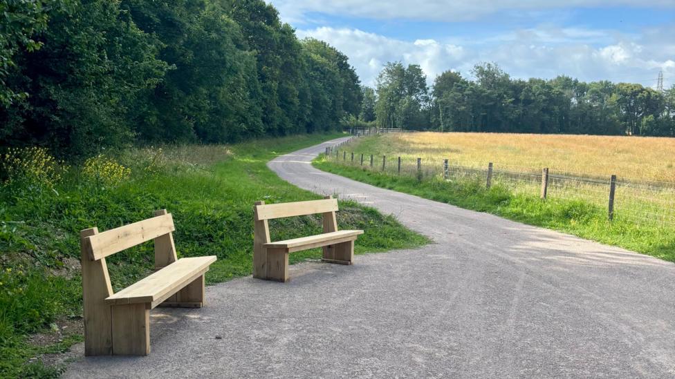 Two simple wooden benches sit beside a gently curving paved path that winds through a countryside landscape. Dense green woodland lines the left side of the path, while a fenced golden field stretches along the right. Above, a wide blue sky is filled with large white and grey clouds.