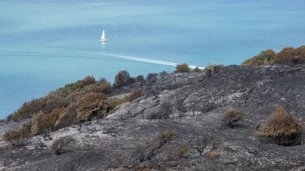 Blackened heathland on a cliff edge, overlooking a yacht sailing on the Solent