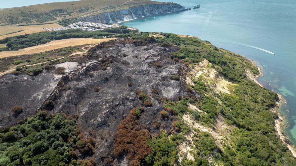 A drone shot shows nine hectares of burnt heathland at the edge of a cliff
