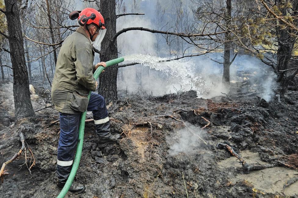A person wearing protective clothing holds a large, green hose spraying out water in an area of fire-damaged woodland.