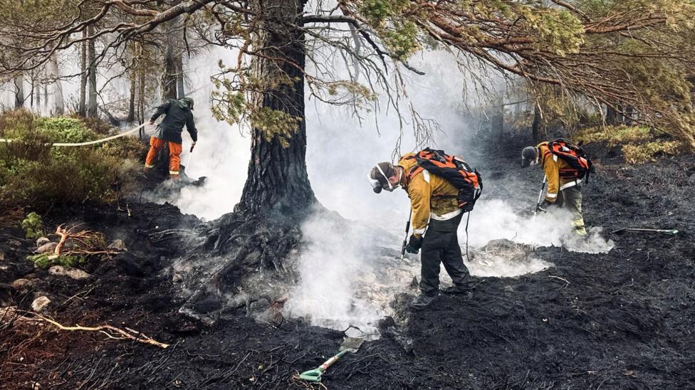Three people wearing protective clothing, caps and face masks dampen down hotspots in an area of woodland in Glenmore.