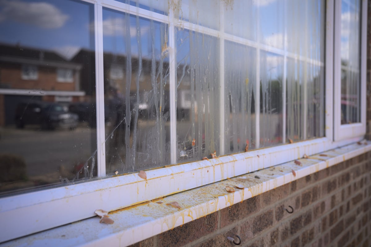 A window covered in smashed eggs