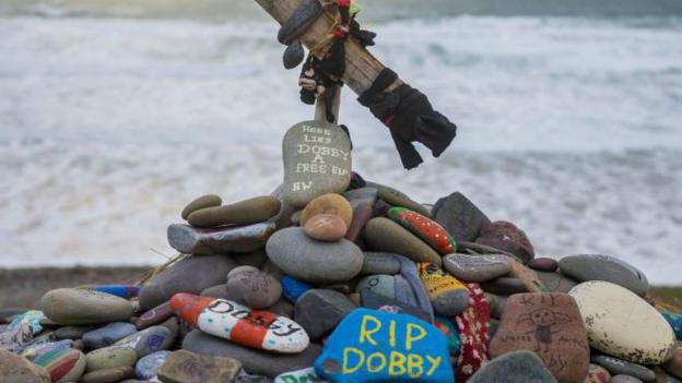 A pile of colourful rocks with messages written on them including a blue one with RIP Dobby in yellow. the sea is in the background.