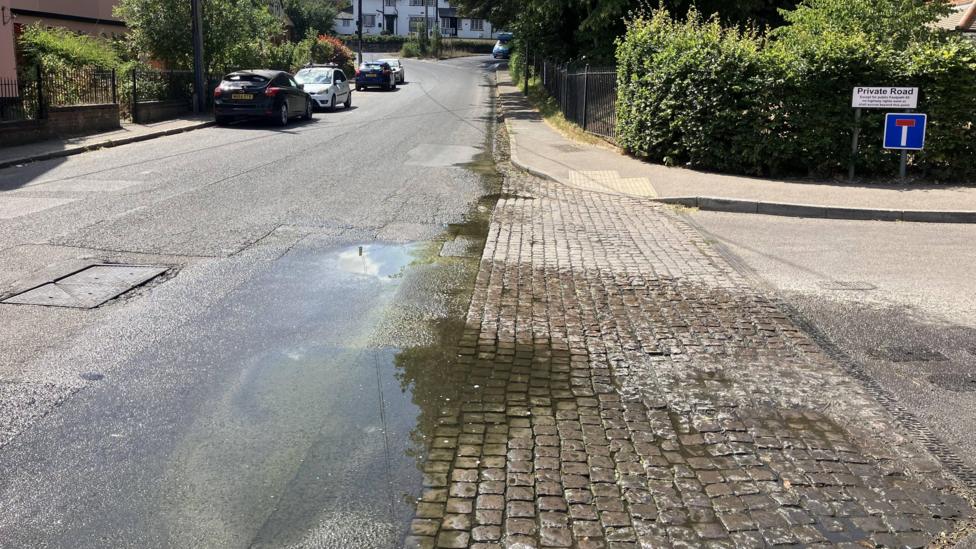 A road with houses on either side and cars are parked to the left. Water can be seen trickling from the top of the road, forming a puddle.