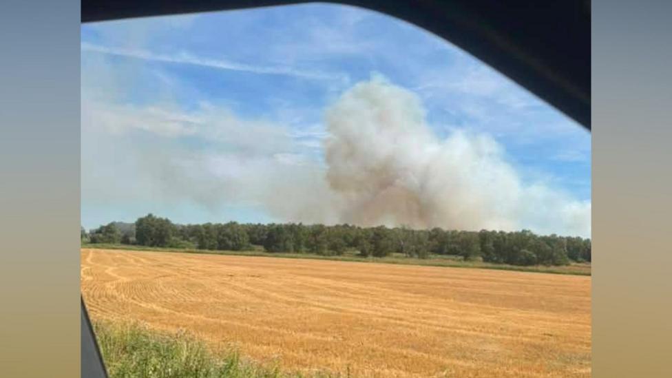 A cornfield with woods behind it, which are on fire. A large plume of smoke rises into the blue sky.