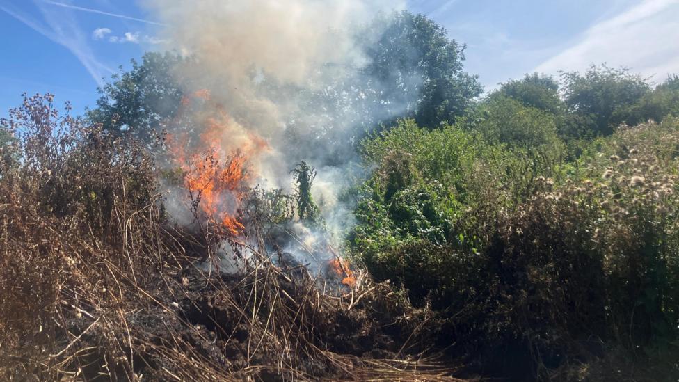 Photograph of a fire at an illegal waste dump near the River Mersey in Greater Manchester. The image shows scrubland on fire, with flames and smoke.