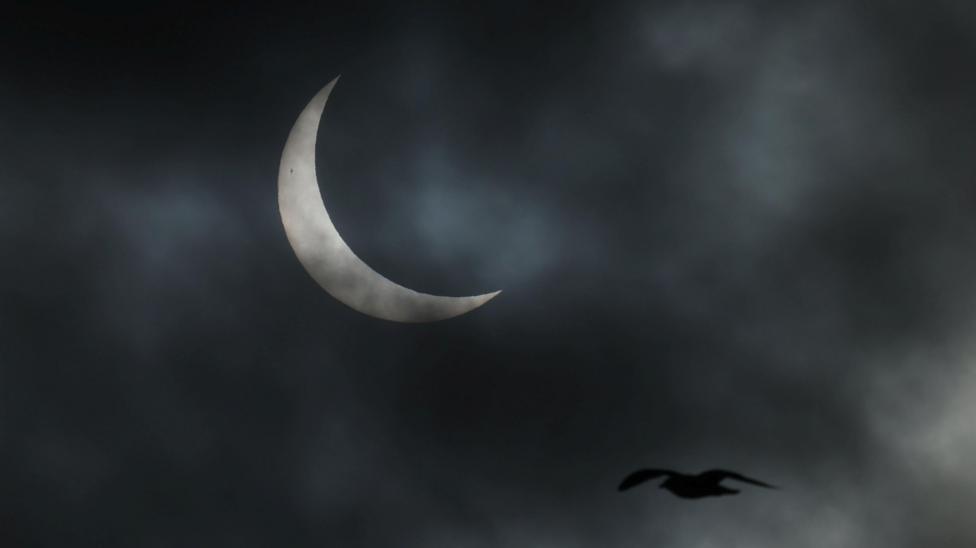 A seagull passes a partial solar eclipse above Greenland's capital Nuuk, in March 2025. The sky is dark and cloudy and a silver sliver of the moon can be seen.