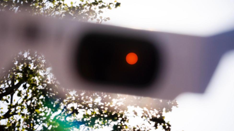 The sun looks orange, polarised through a pair of solar eclipse glasses with a tree behind.
