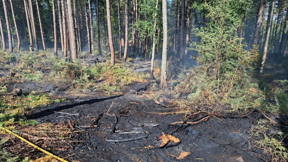 A fire has destroyed about 100 metres (328ft) by 400 metres (1,312ft) at Wood End Lane, in Stanton-by-Bridge, Derbyshire.