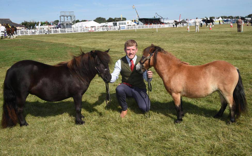 Diwrnod da i Jac McGwigan o Dŷ Croes a gafodd ddwy wobr gyntaf gyda'i ferlod Shetland