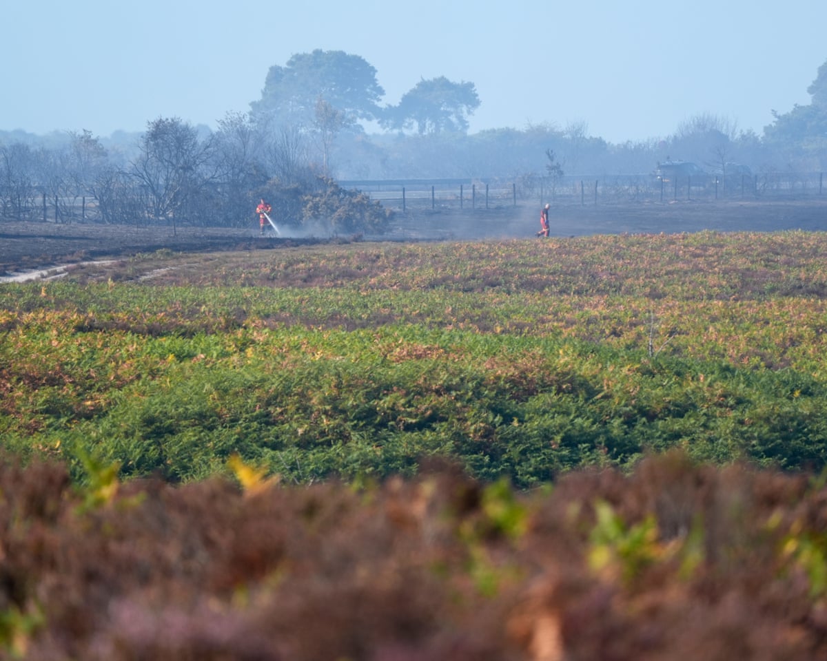 Firefighters spray water on to burnt ground