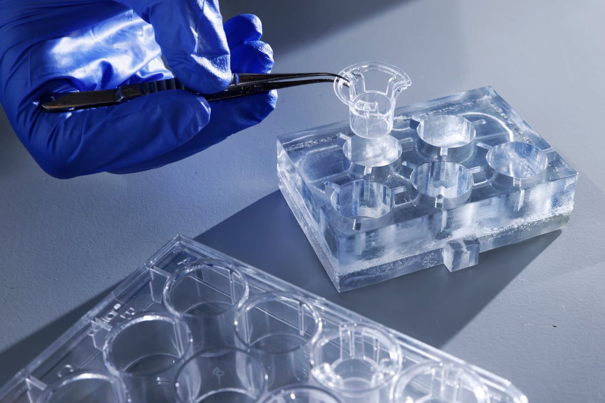 A hand wearing a blue surgical glove uses tweezers to lift a clear container out of a set of containers within the device.
