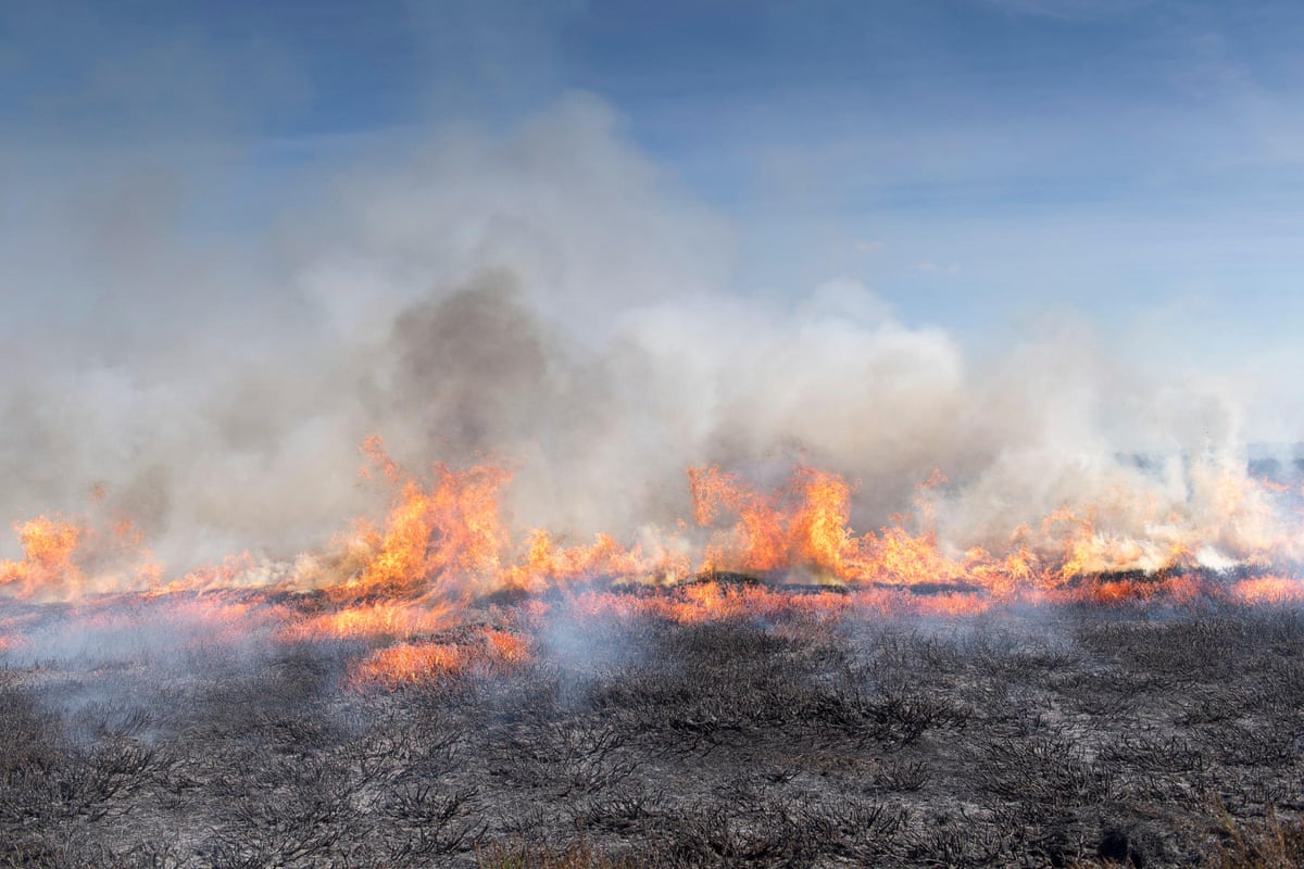 Burning peatland
