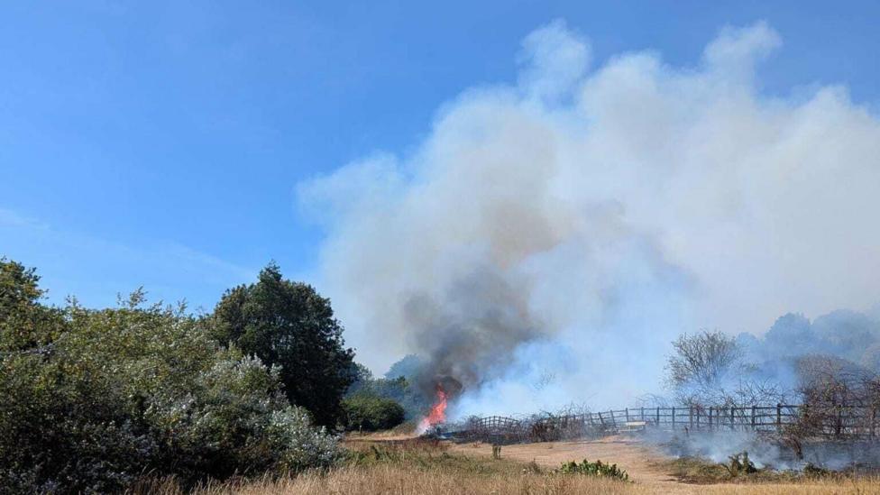 Flames and thick smoke rise from a grass fire beside a footpath, with dry vegetation and trees nearby.