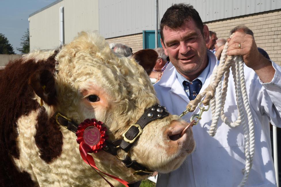 Daeth Andrew Carling o Rydwyn yn fuddugol gyda'i darw Hereford