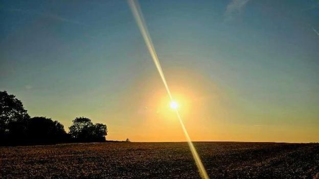 Solar eclipse from a field