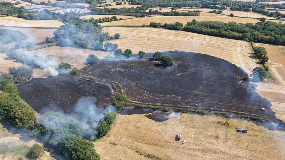 Blackened land after a blaze took hold