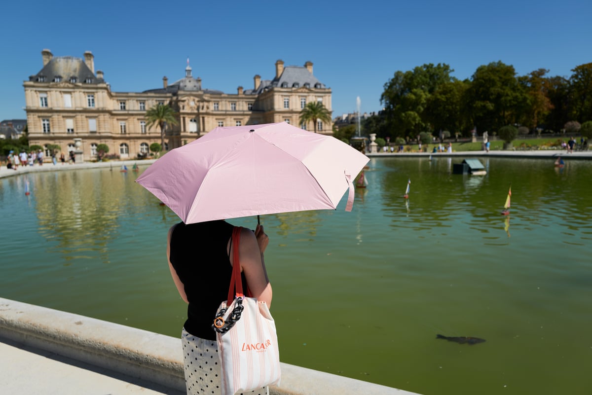 A woman stands holding a pink umbrella next to a pond. A fish is swimming past. There is a grand chateau in the background.