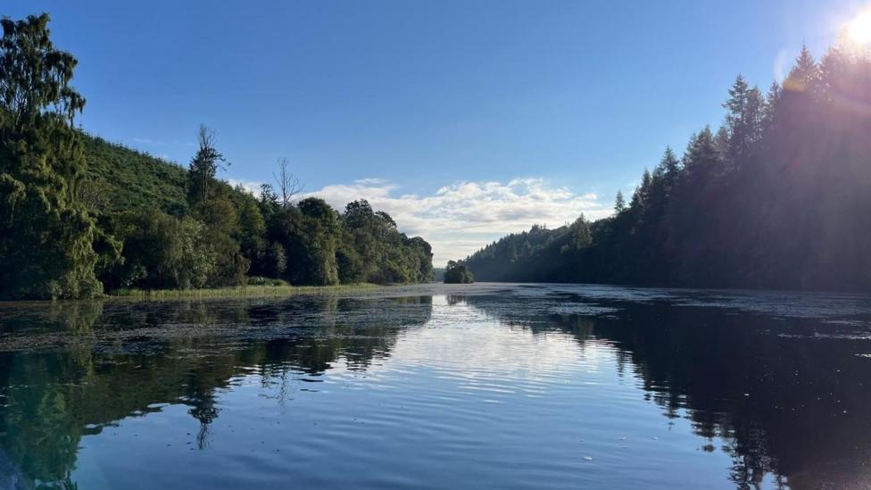 A calm river reflects the blue sky and surrounding woodland, with sunlight shining over tree-covered banks on a clear day.
