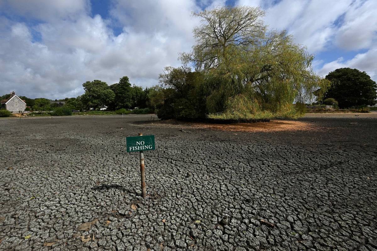 A'No Fishing' sign is pictured in a dried-up pond in Falmer, East Sussex