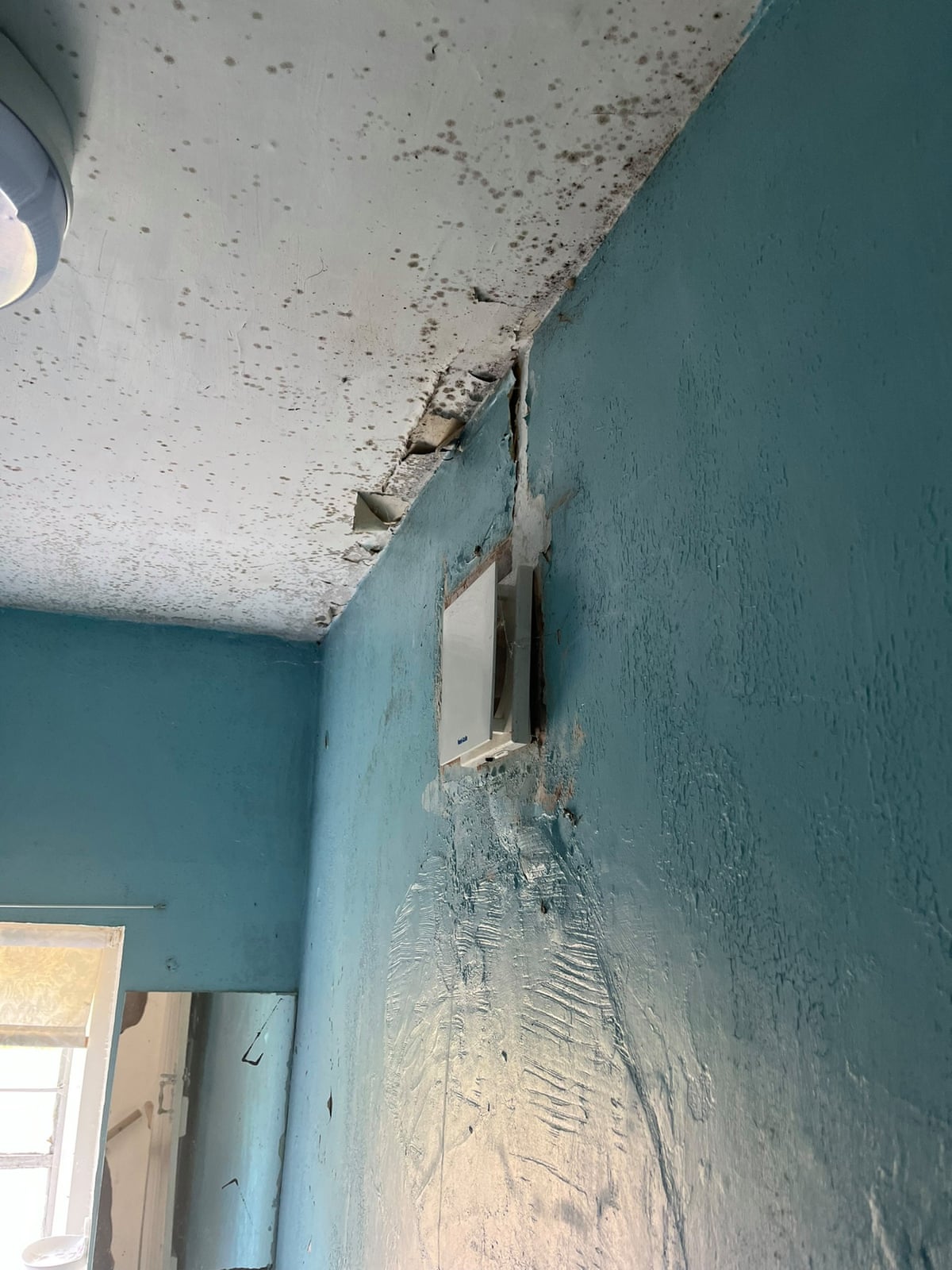 Black mould on the ceiling