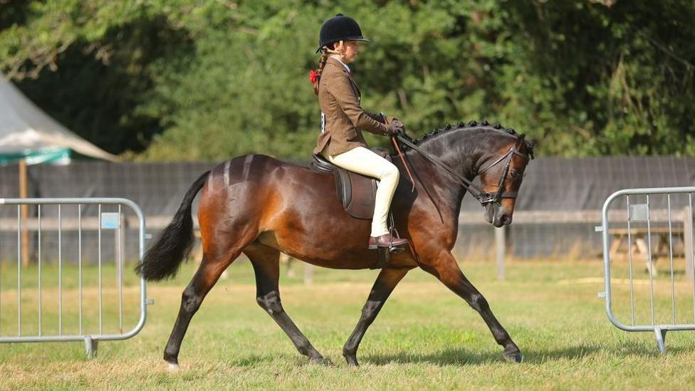 Millie yn arddangos ei cheffyl yn y Royal International Horse Show