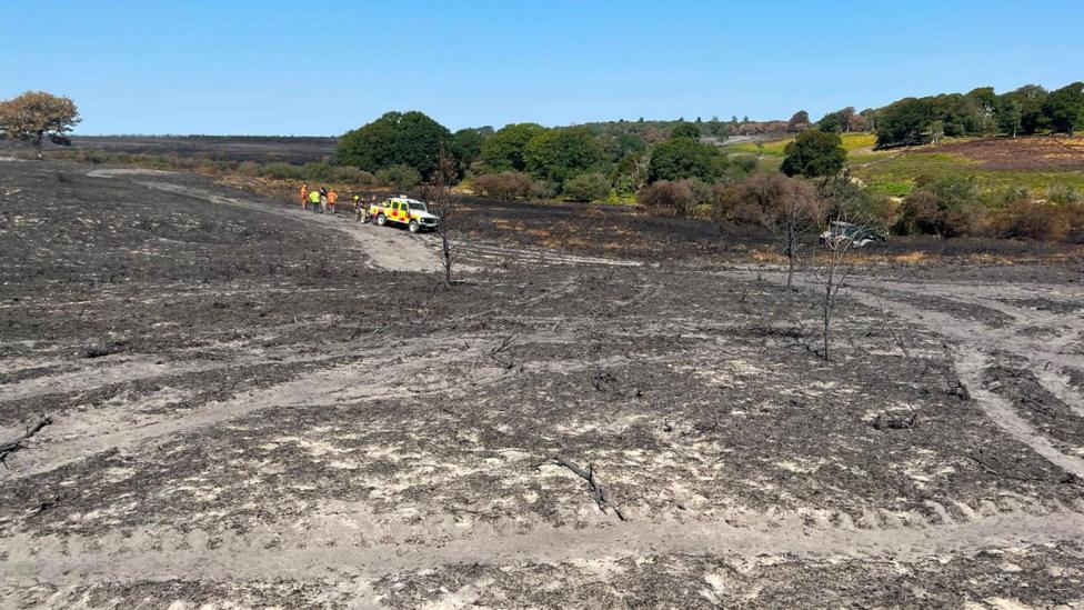 A31 heathland fire