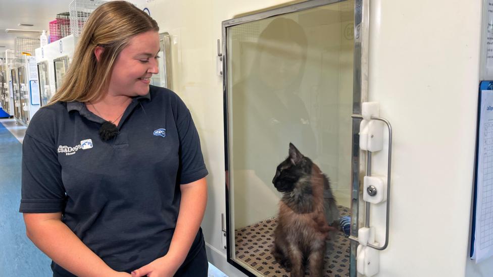 A woman with blond hair wearing a black polo shirt standing in front of a bank of pods with clear doors. She is looking at a black cat within one of the pods and smiling.